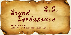 Mrgud Šurbatović vizit kartica